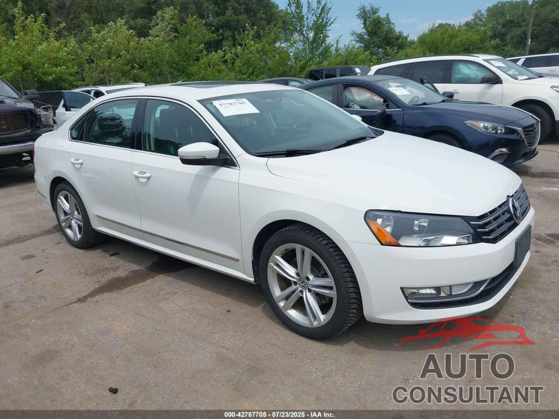 VOLKSWAGEN PASSAT 2014 - 1VWCN7A3XEC112033