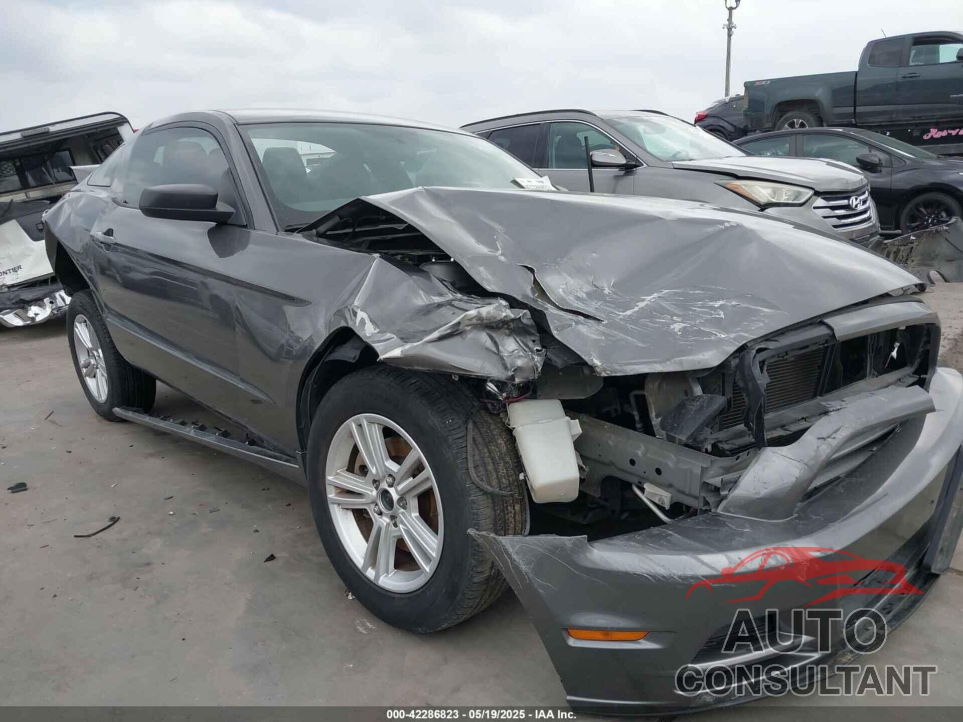 FORD MUSTANG 2014 - 1ZVBP8AMXE5326626