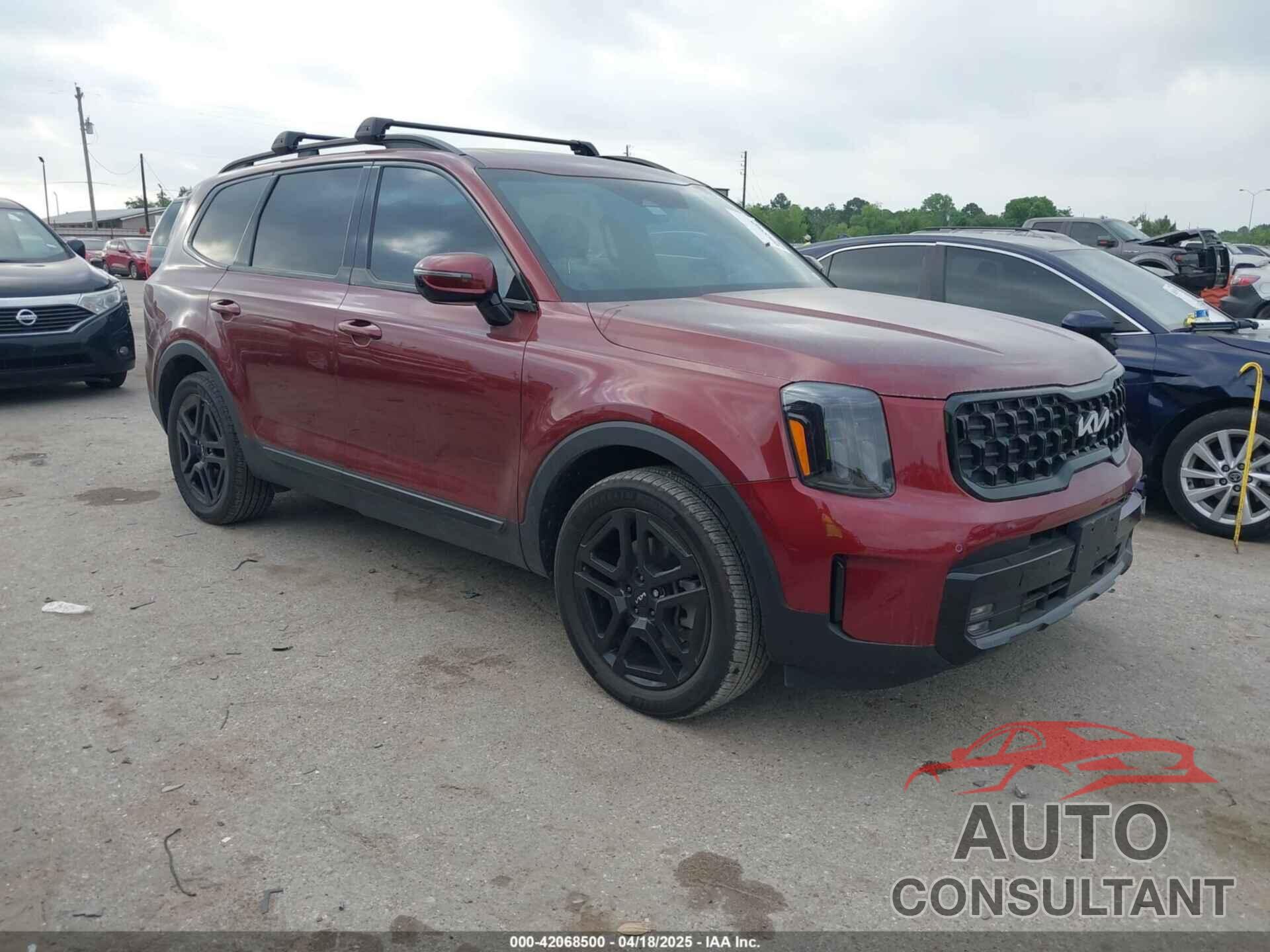 KIA TELLURIDE 2024 - 5XYP5DGCXRG433873