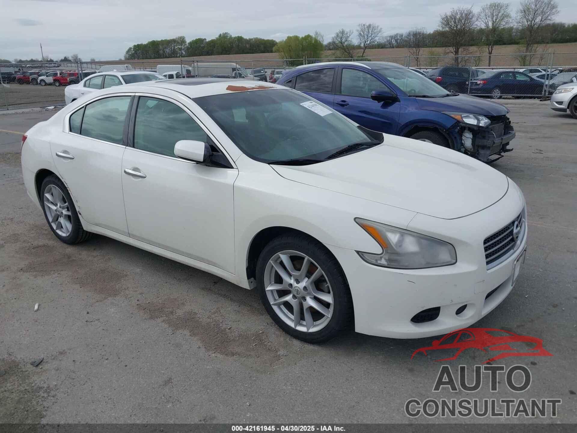NISSAN MAXIMA 2010 - 1N4AA5AP4AC821523