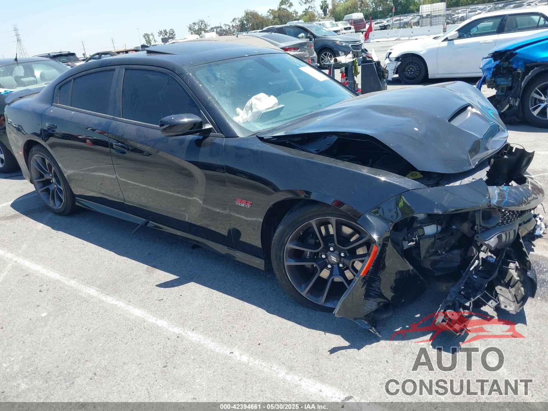 DODGE CHARGER 2023 - 2C3CDXGJ6PH599151