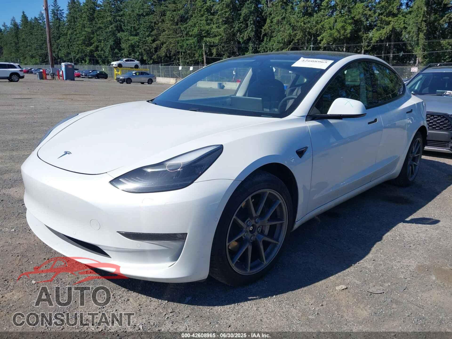 TESLA MODEL 3 2021 - 5YJ3E1EB9MF869539