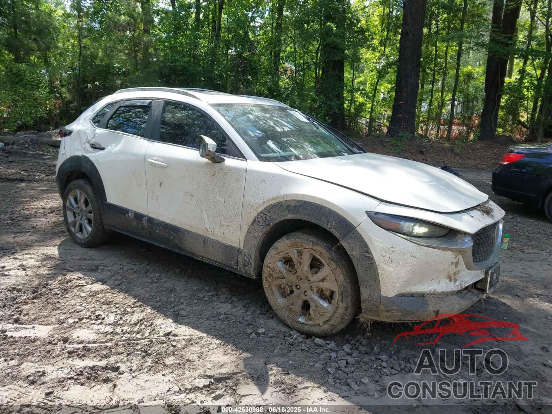 MAZDA CX-30 2022 - 3MVDMBCL8NM439828