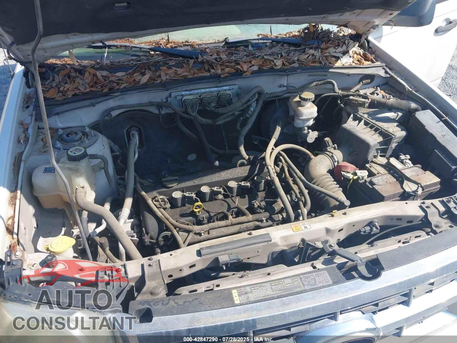 FORD ESCAPE 2012 - 1FMCU0C77CKC51709