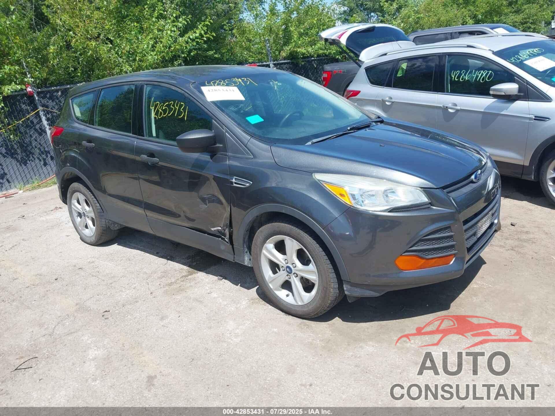 FORD ESCAPE 2016 - 1FMCU0F79GUC11055