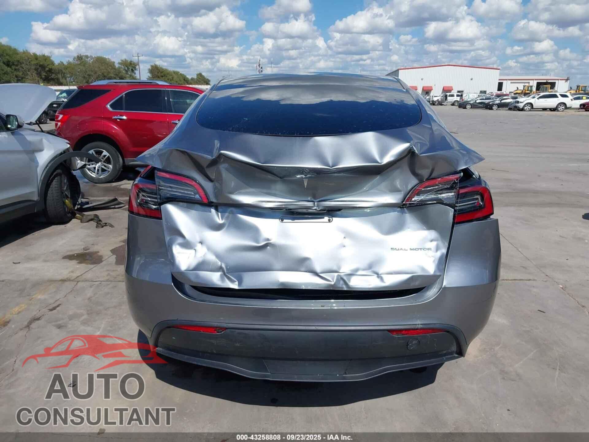 TESLA MODEL Y 2024 - 7SAYGDEE5RA333769
