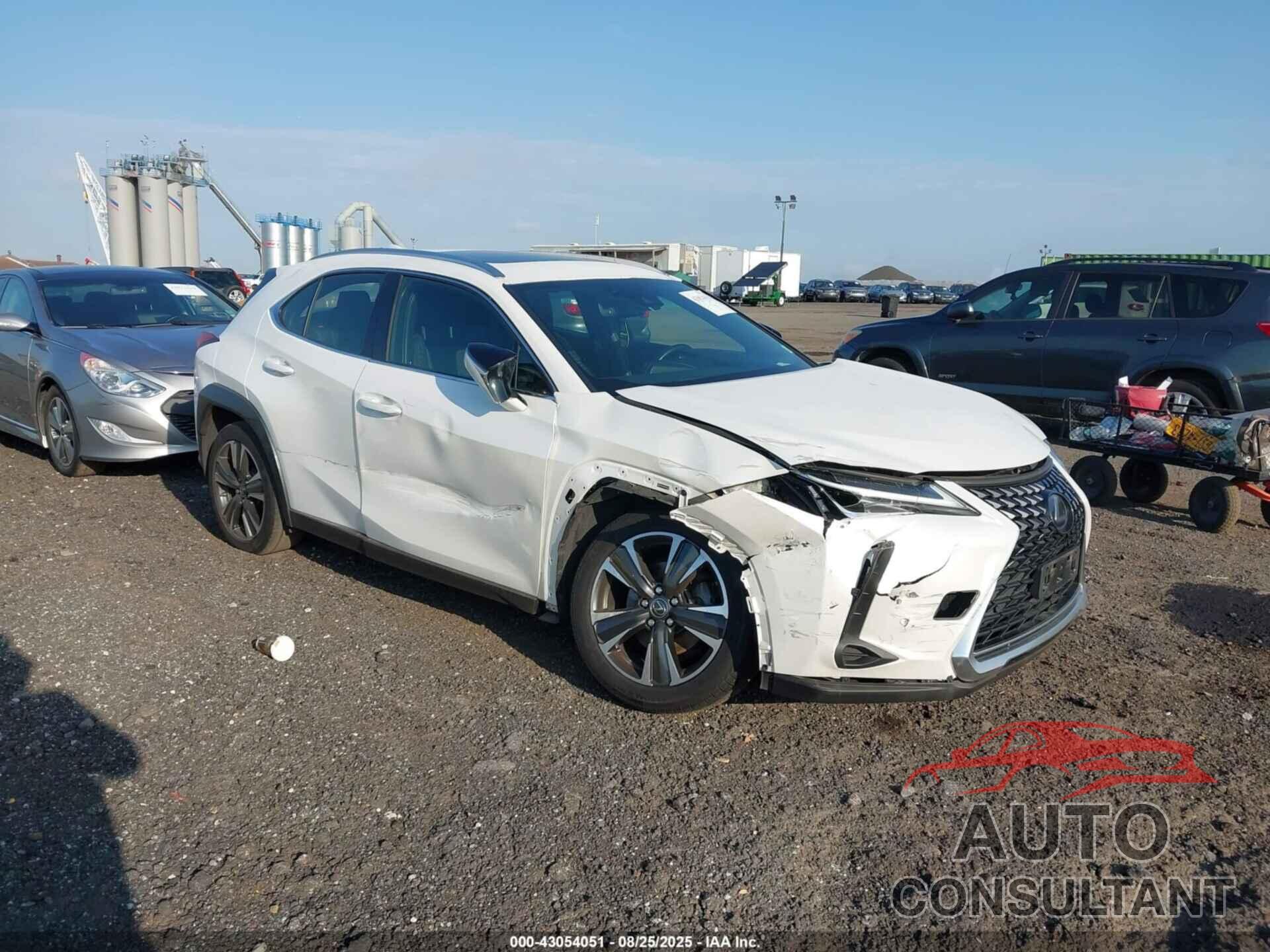 LEXUS UX 250H 2019 - JTHU9JBH0K2010548