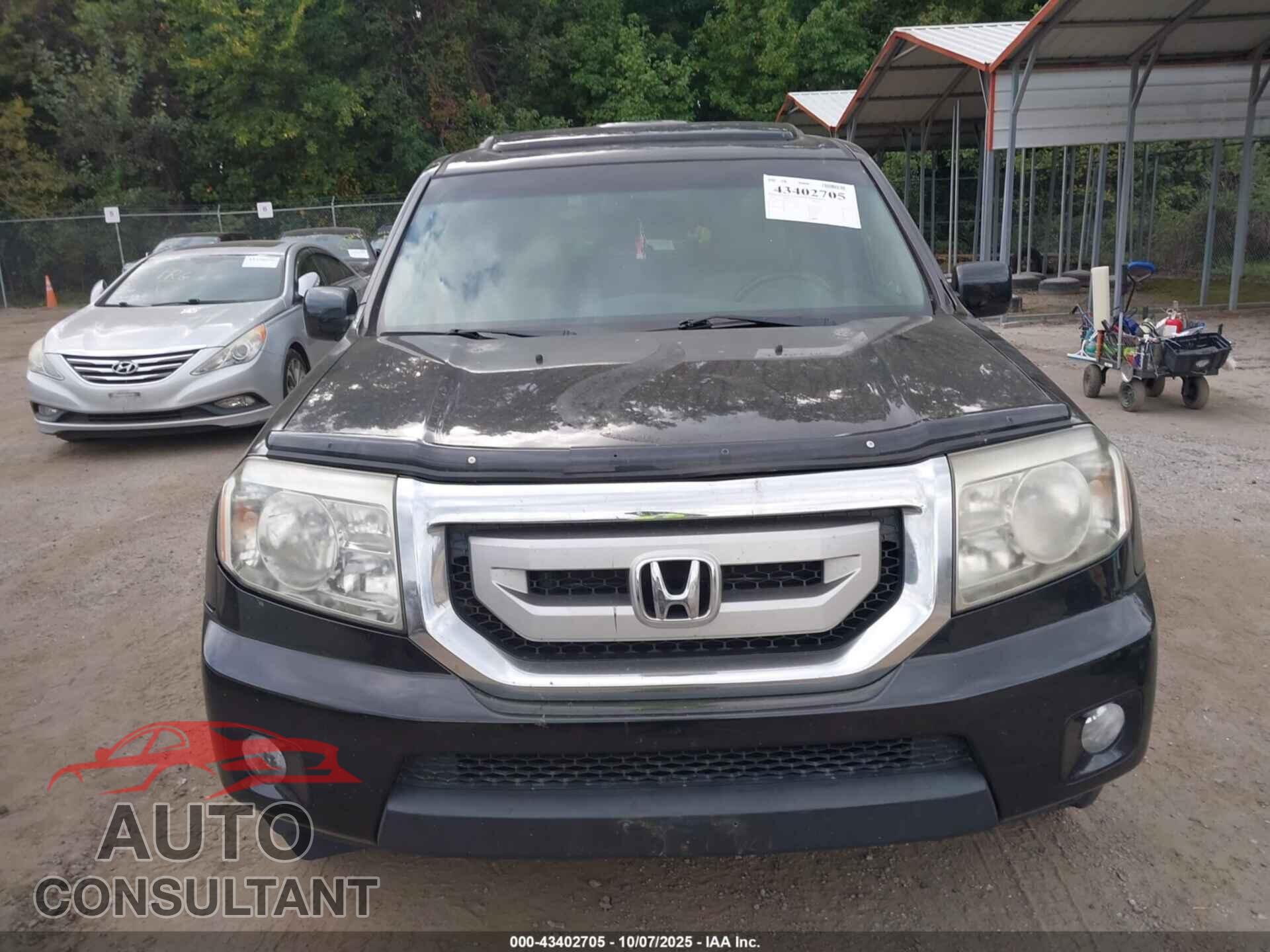 HONDA PILOT 2010 - 5FNYF4H61AB022075