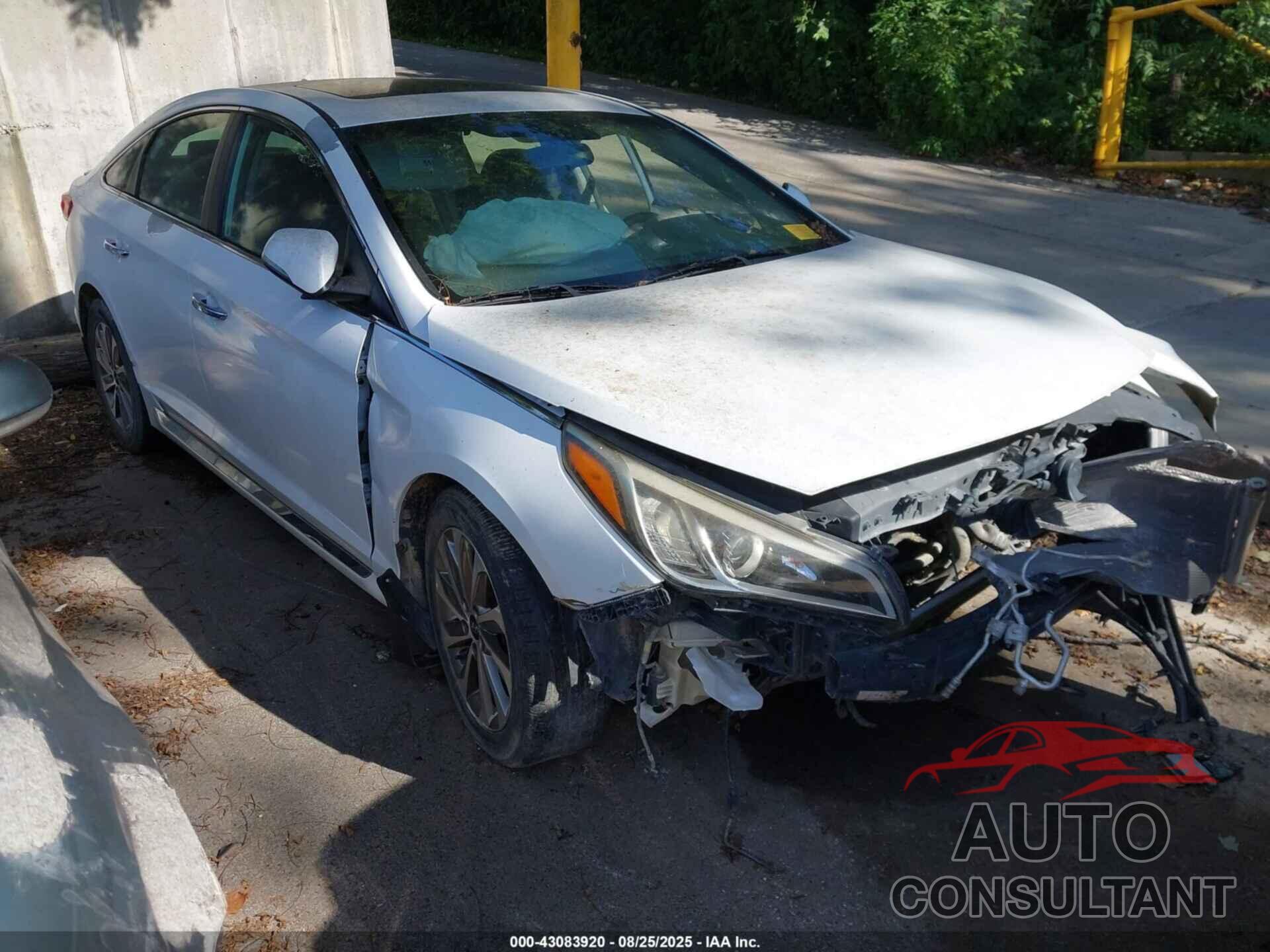 HYUNDAI SONATA 2017 - 5NPE34AF7HH467972