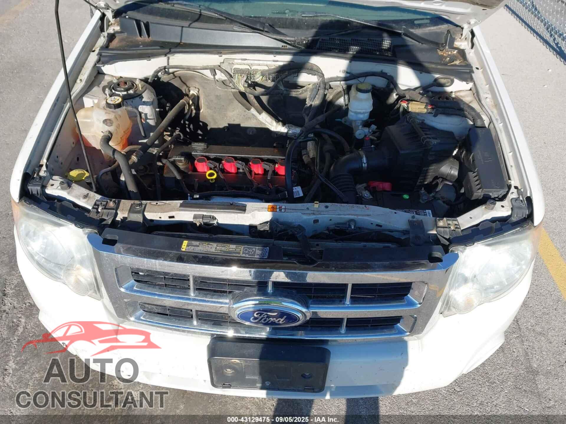 FORD ESCAPE 2011 - 1FMCU0D70BKB46202