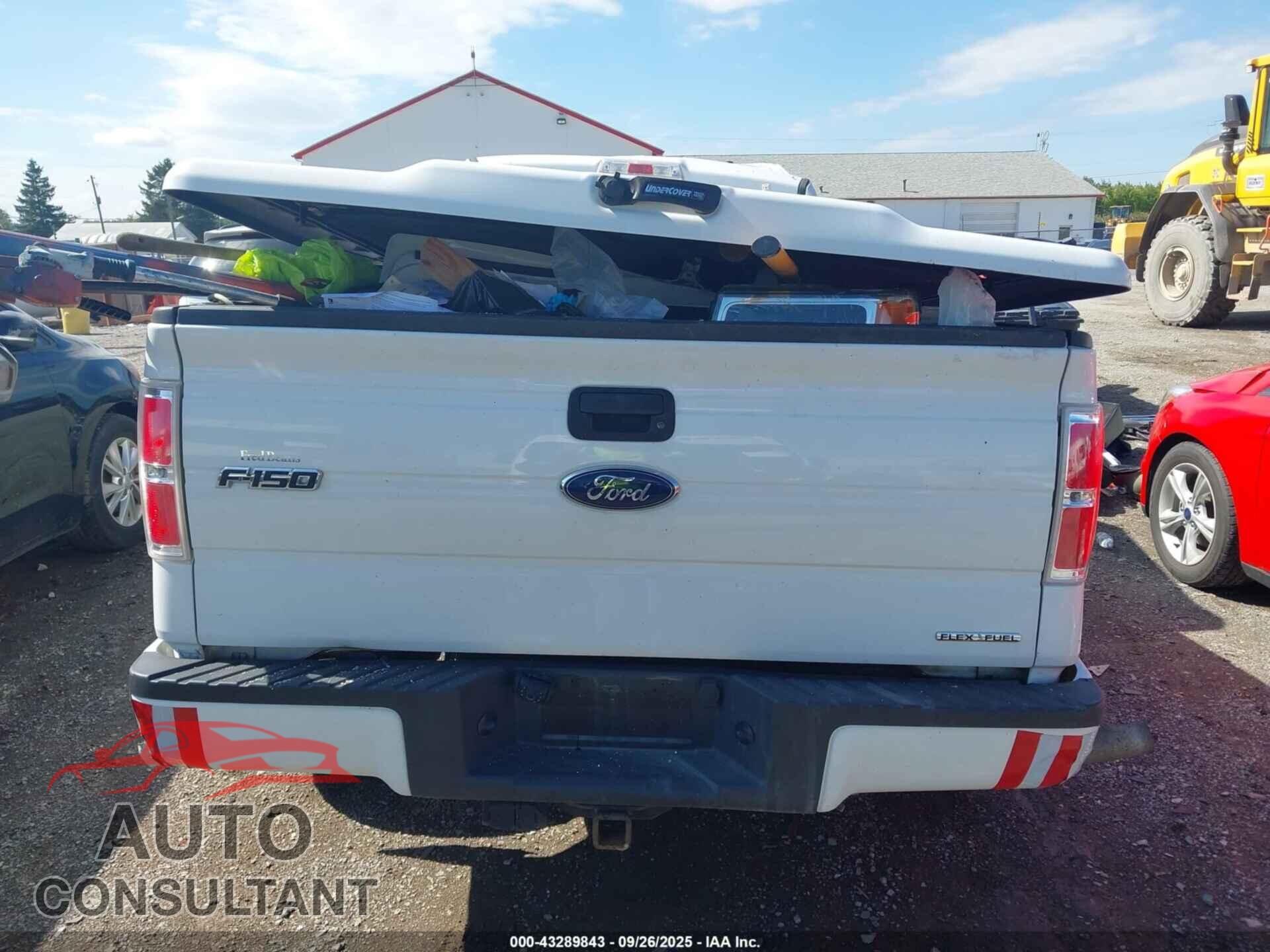 FORD F-150 2013 - 1FTFX1EF3DFD61461