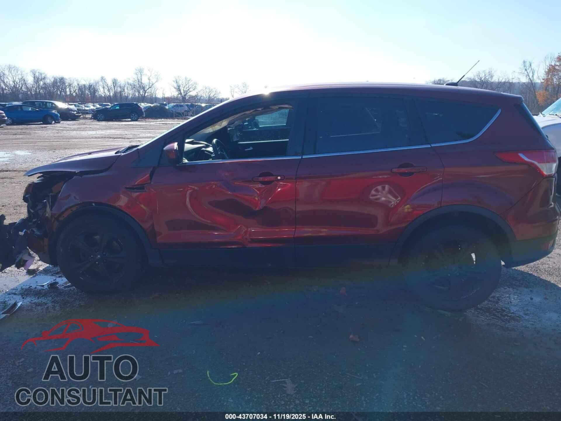 FORD ESCAPE 2014 - 1FMCU9GX4EUC53116