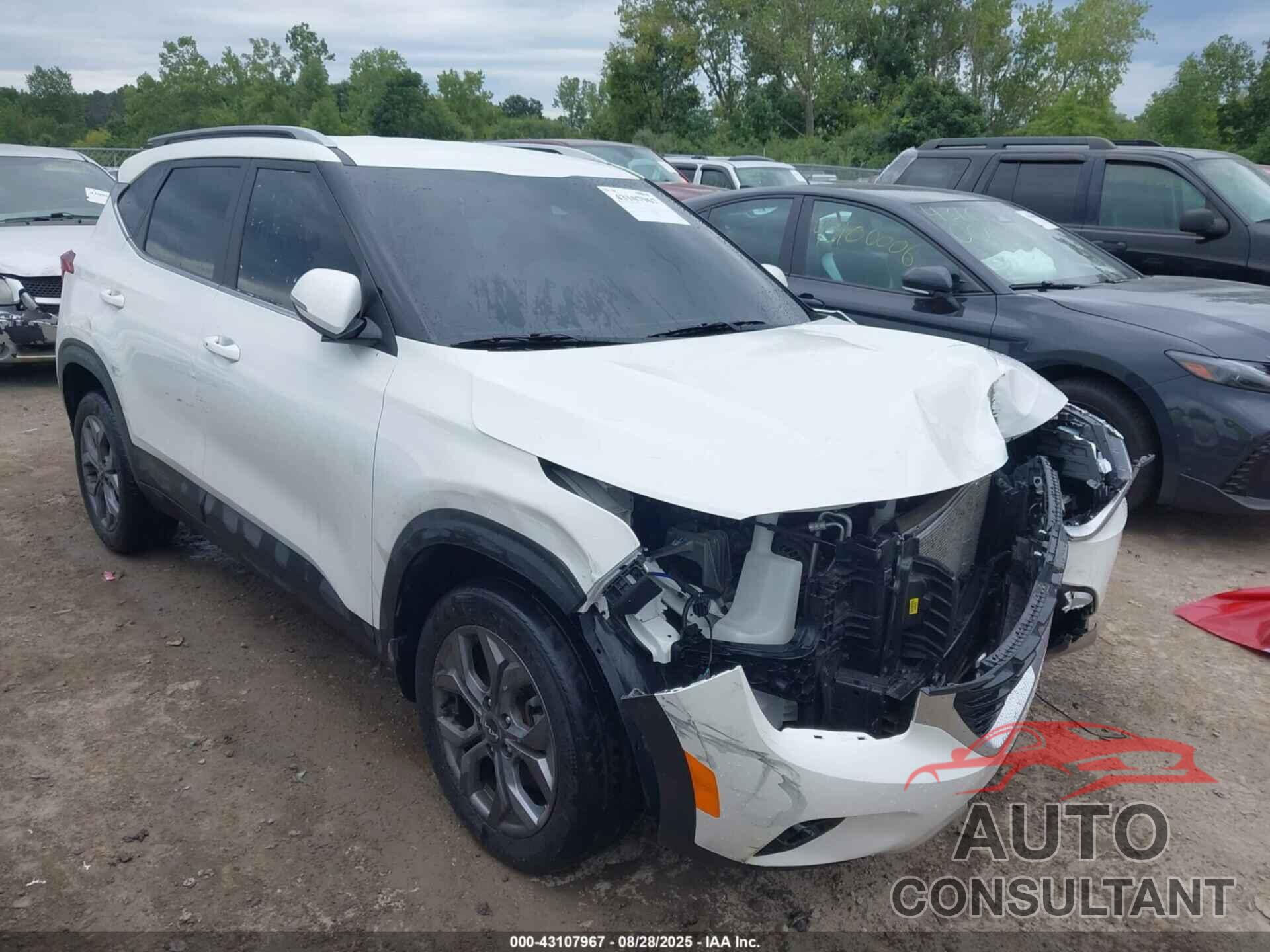 KIA SELTOS 2024 - KNDEUCAA6R7623548