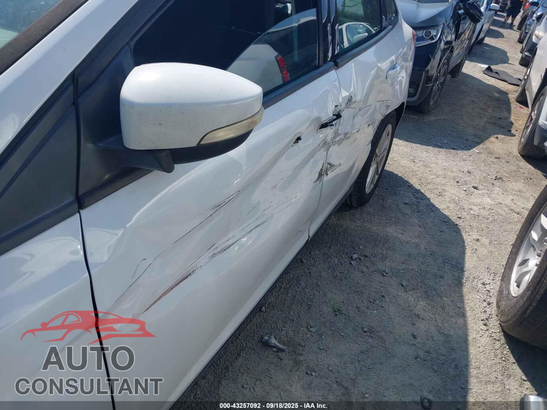 FORD FOCUS 2016 - 1FADP3F23GL320287