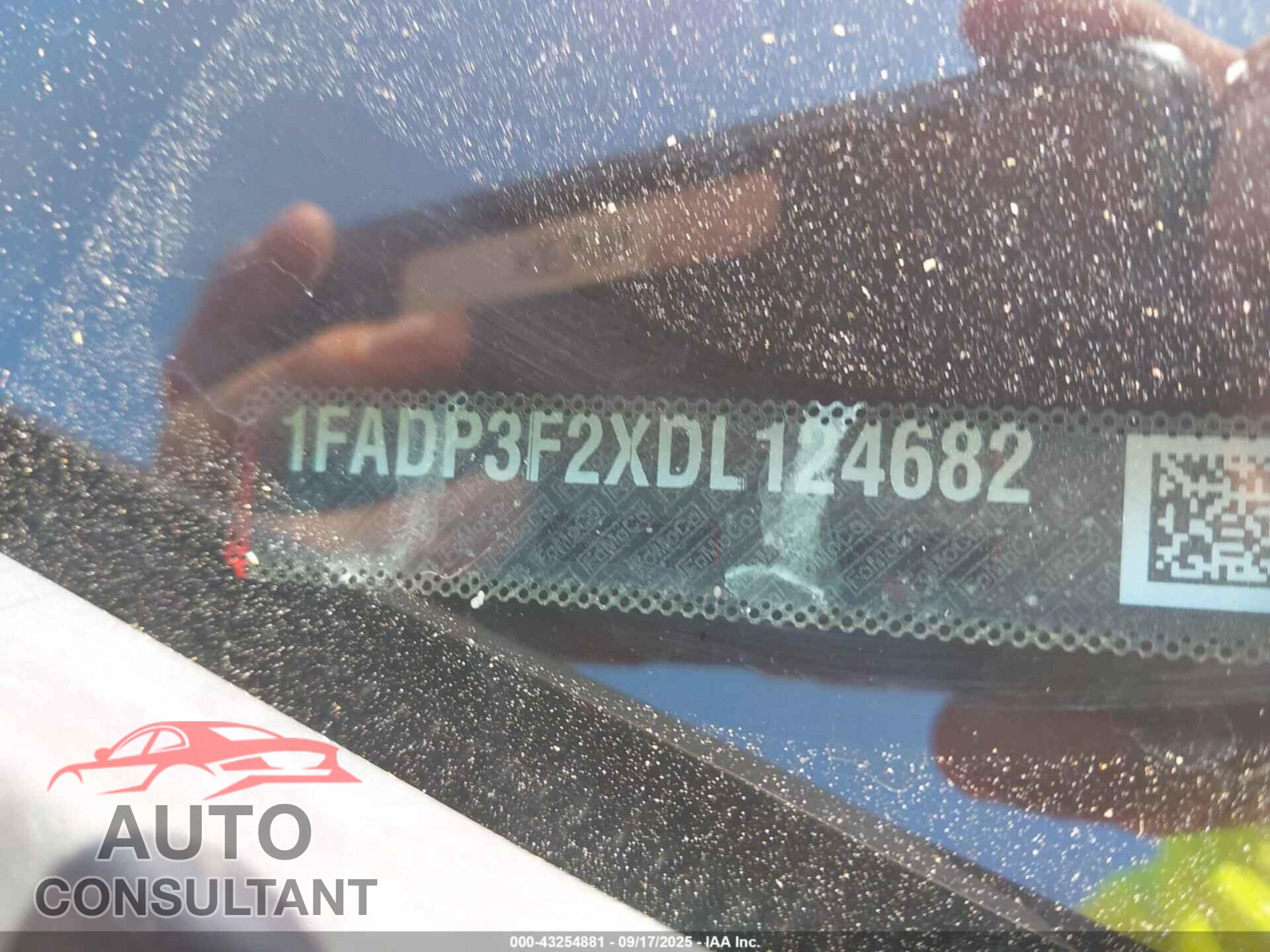 FORD FOCUS 2013 - 1FADP3F2XDL124682