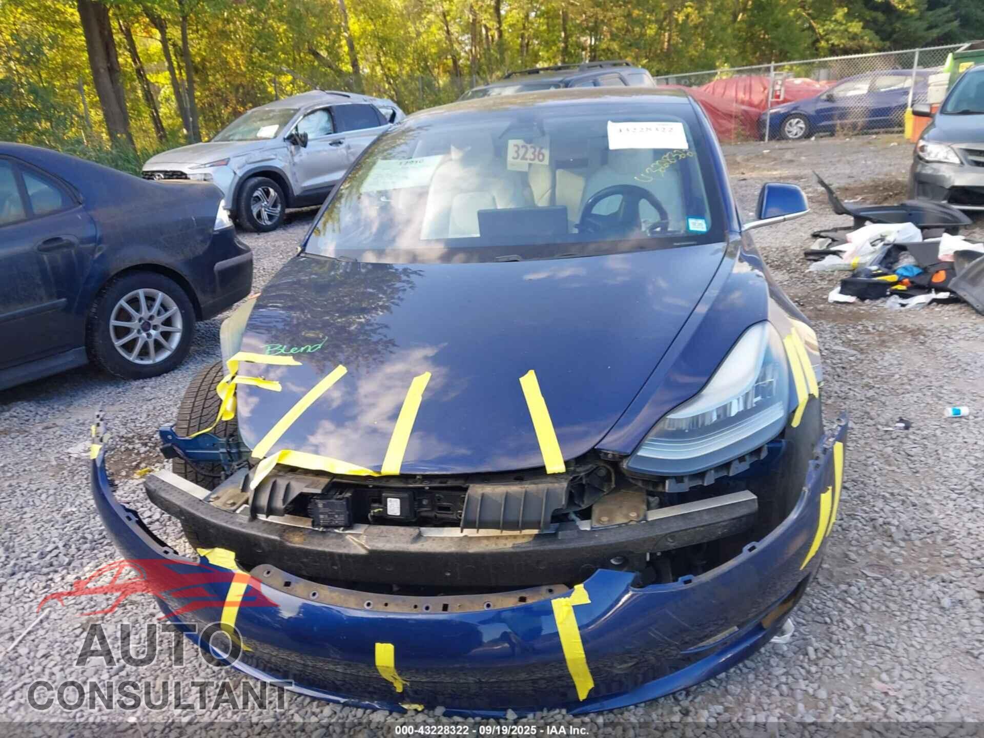 TESLA MODEL 3 2019 - 5YJ3E1EB6KF192186