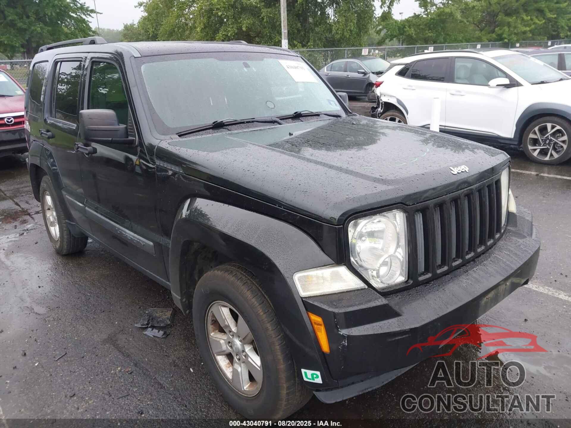 JEEP LIBERTY 2010 - 1J4PN2GK3AW170817