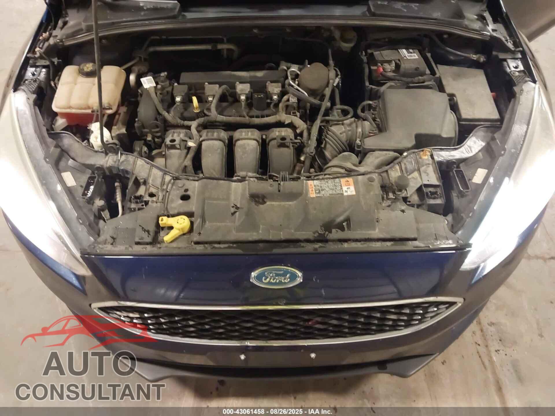 FORD FOCUS 2016 - 1FADP3K24GL253981