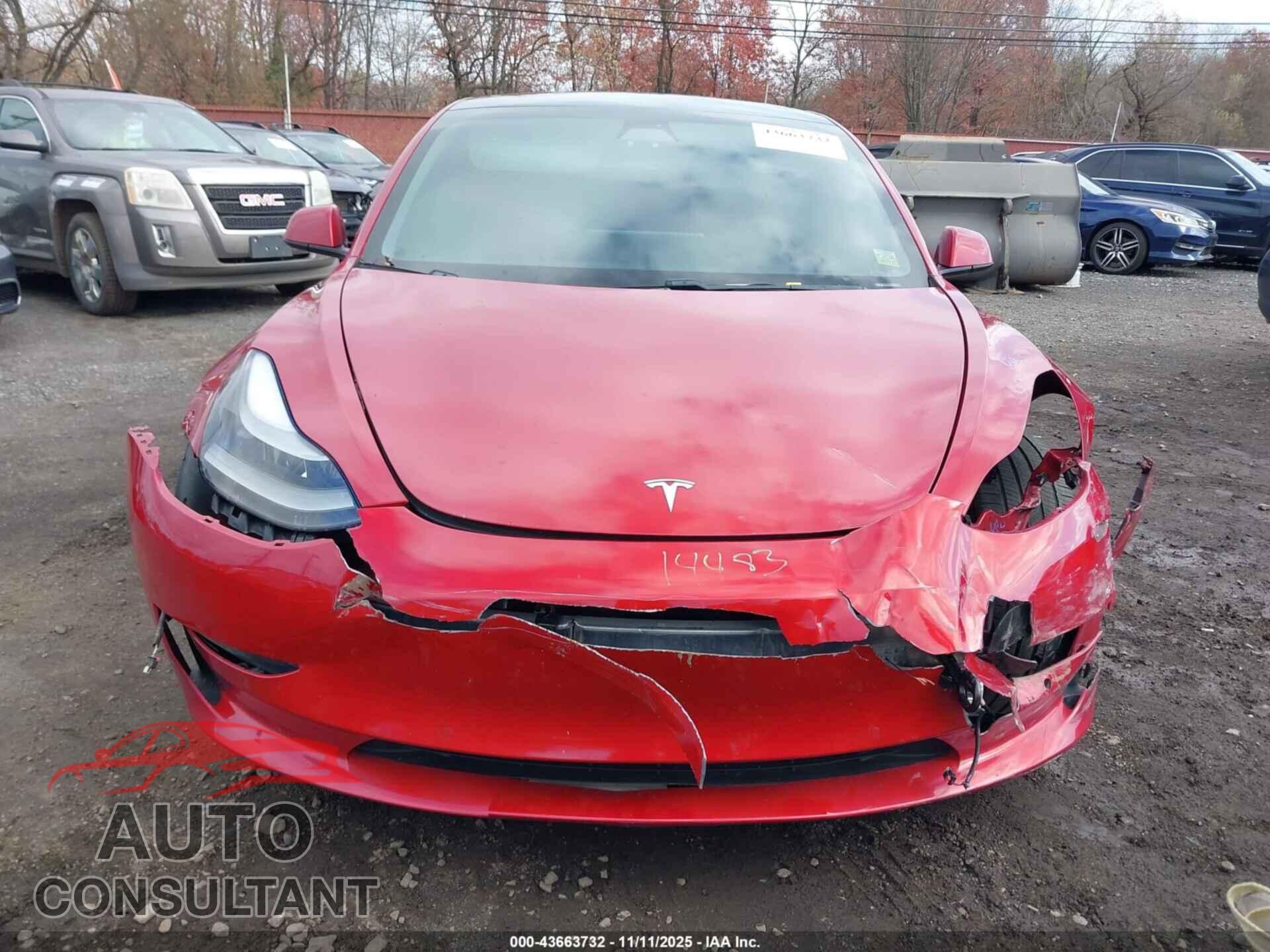 TESLA MODEL 3 2021 - 5YJ3E1EA1MF919356