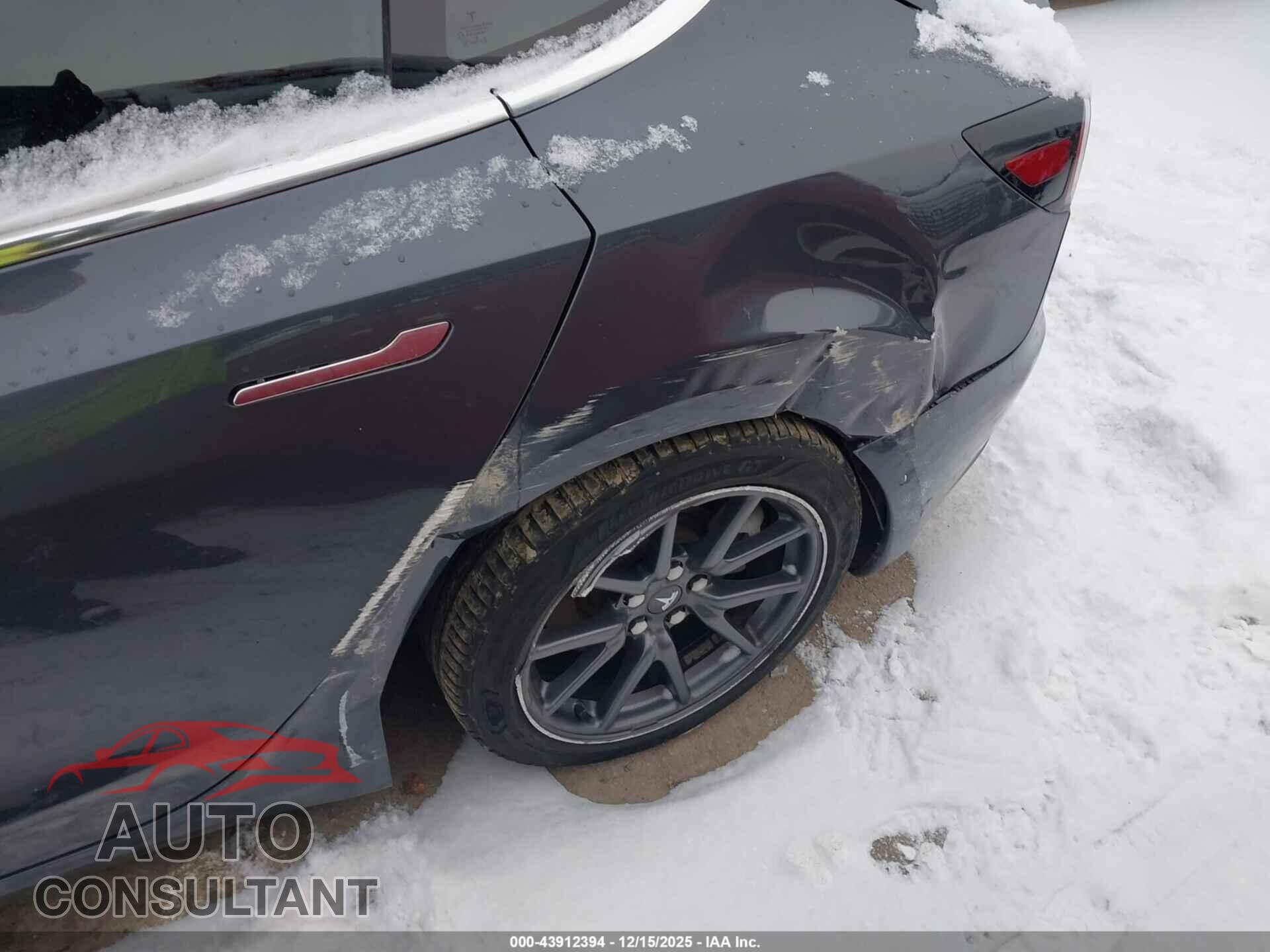 TESLA MODEL 3 2019 - 5YJ3E1EA2KF307647