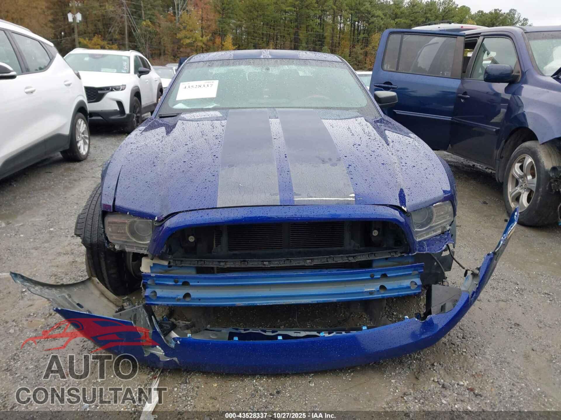 FORD MUSTANG 2014 - 1ZVBP8AM0E5280580