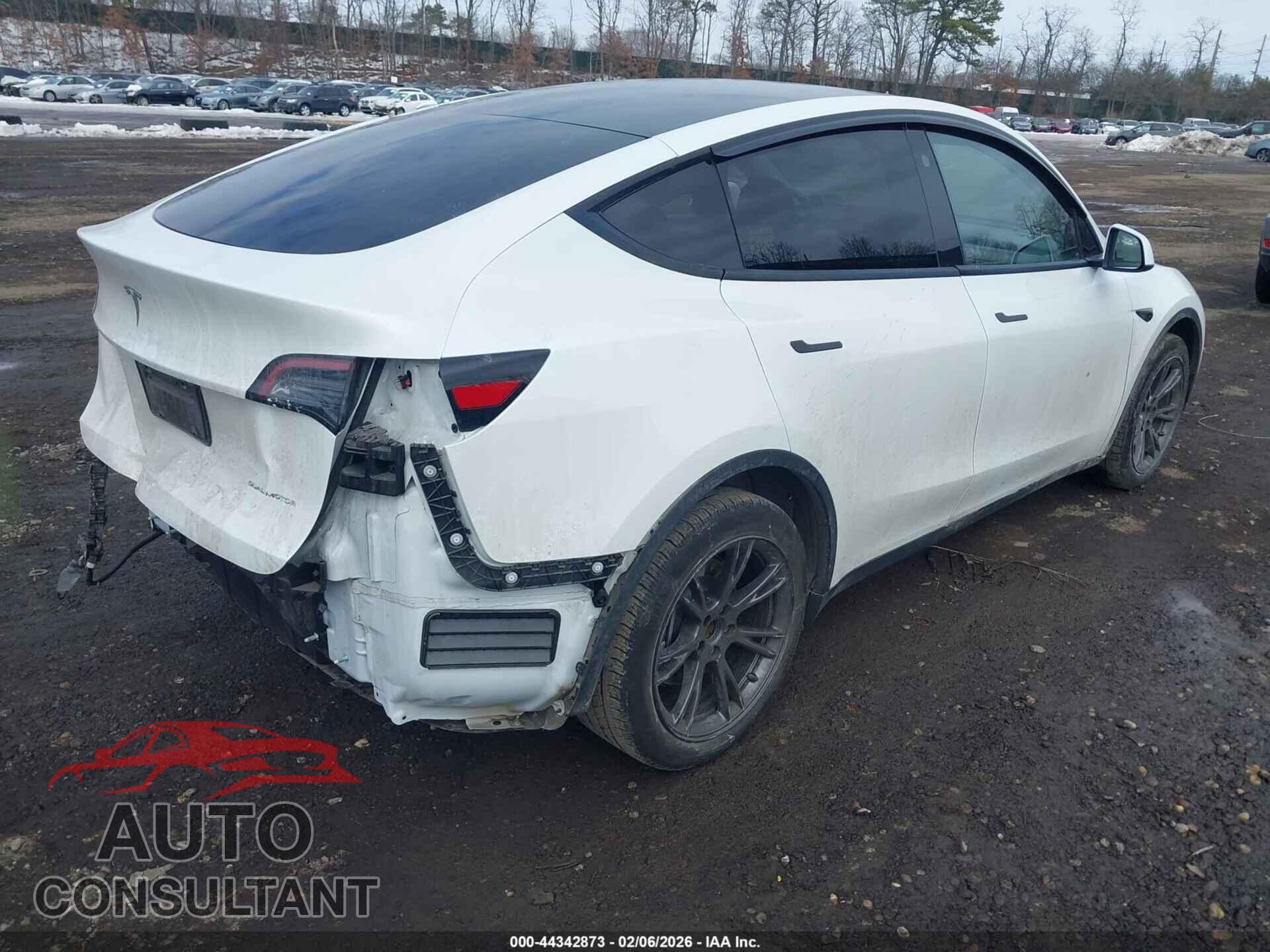 TESLA MODEL Y 2024 - 7SAYGAEE1RF201190