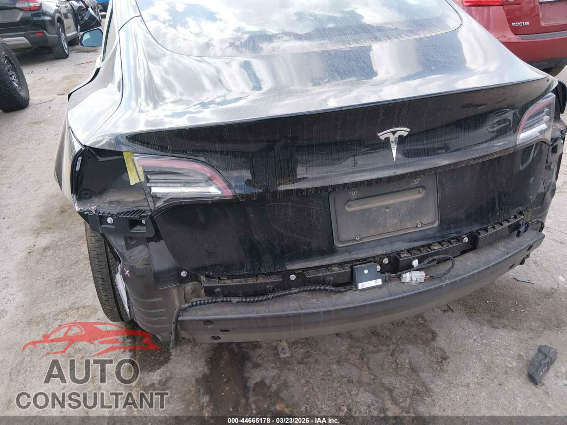TESLA MODEL 3 2019 - 5YJ3E1EA3KF313229