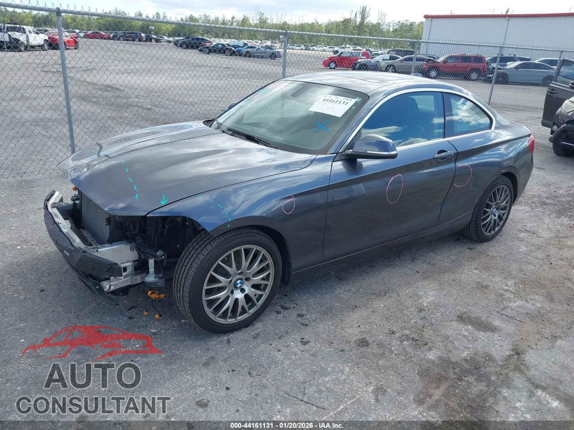 BMW 228I 2015 - WBA1F7C54FVX95467