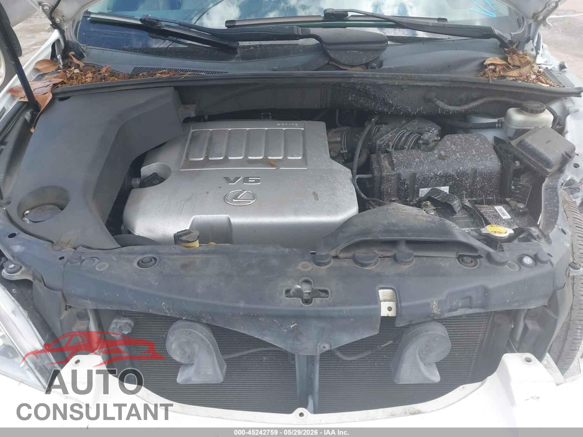 LEXUS RX 350 2009 - 2T2GK31U09C080703