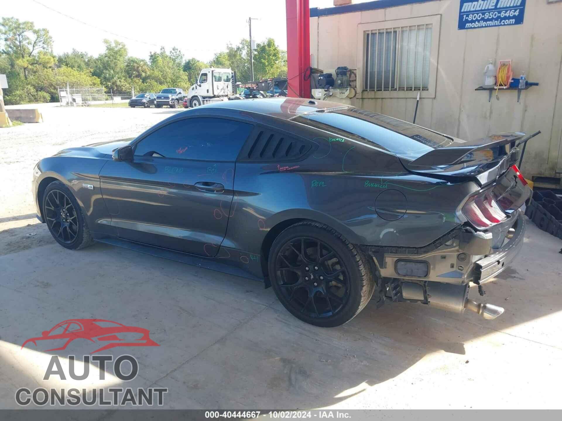 FORD MUSTANG 2019 - 1FA6P8TH1K5124697