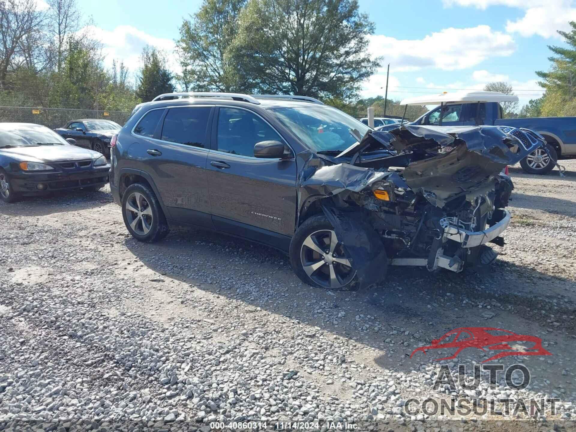 JEEP CHEROKEE 2019 - 1C4PJLDB8KD154427