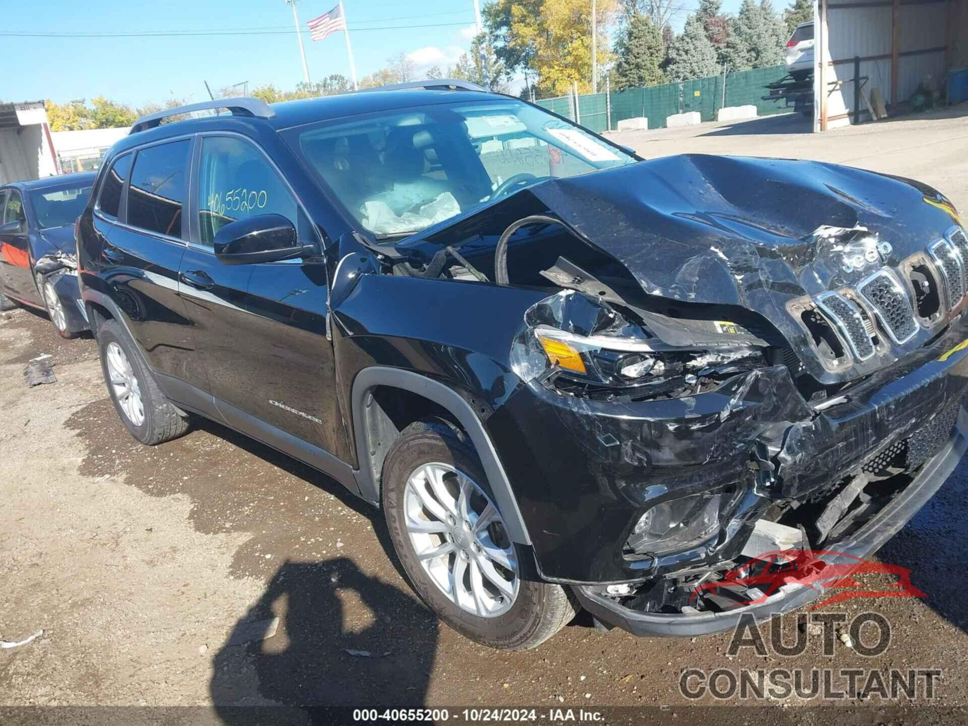 JEEP CHEROKEE 2019 - 1C4PJMCB2KD350029