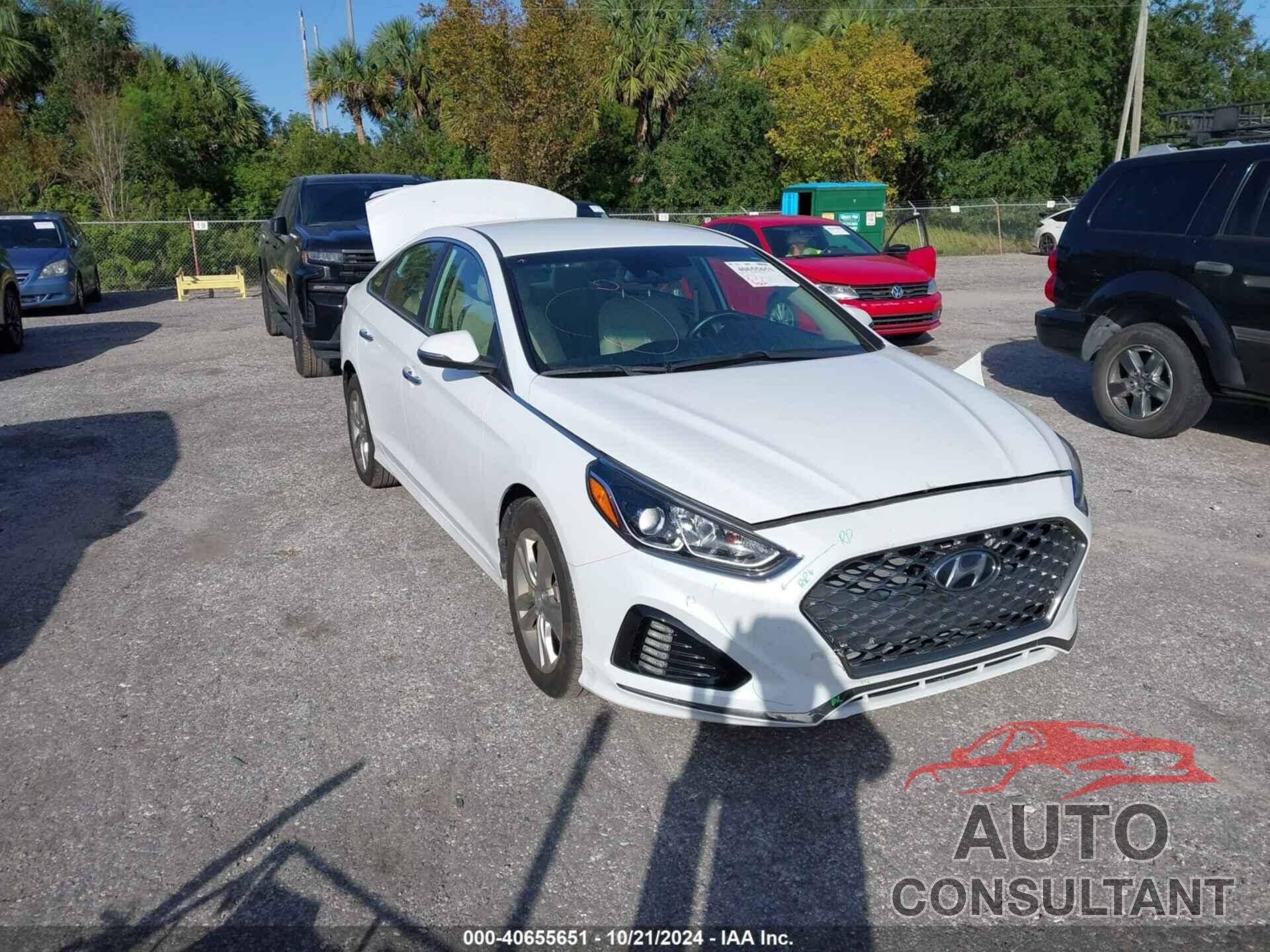 HYUNDAI SONATA 2019 - 5NPE34AF8KH768306