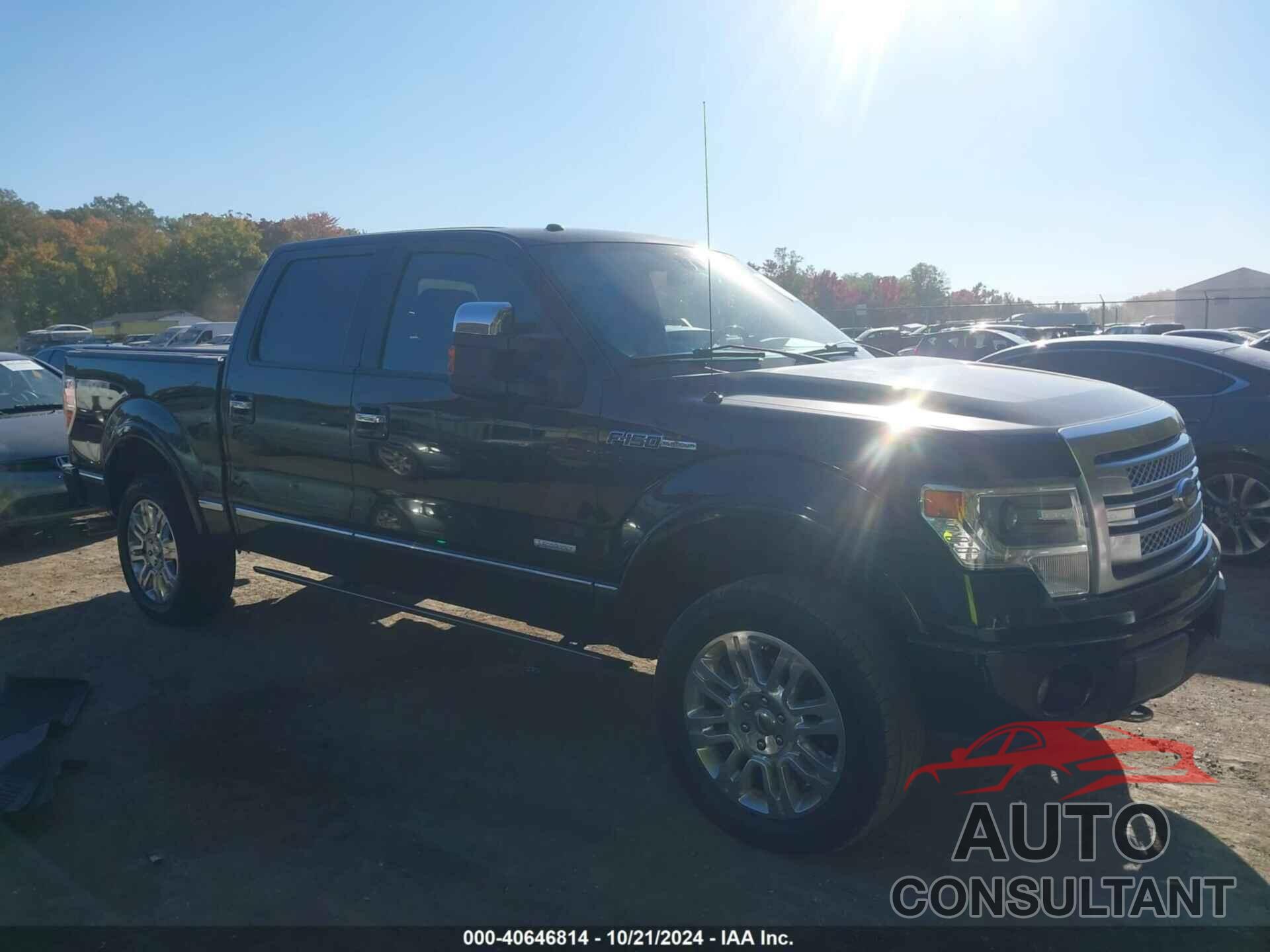 FORD F-150 2013 - 1FTFW1ET2DFD77711