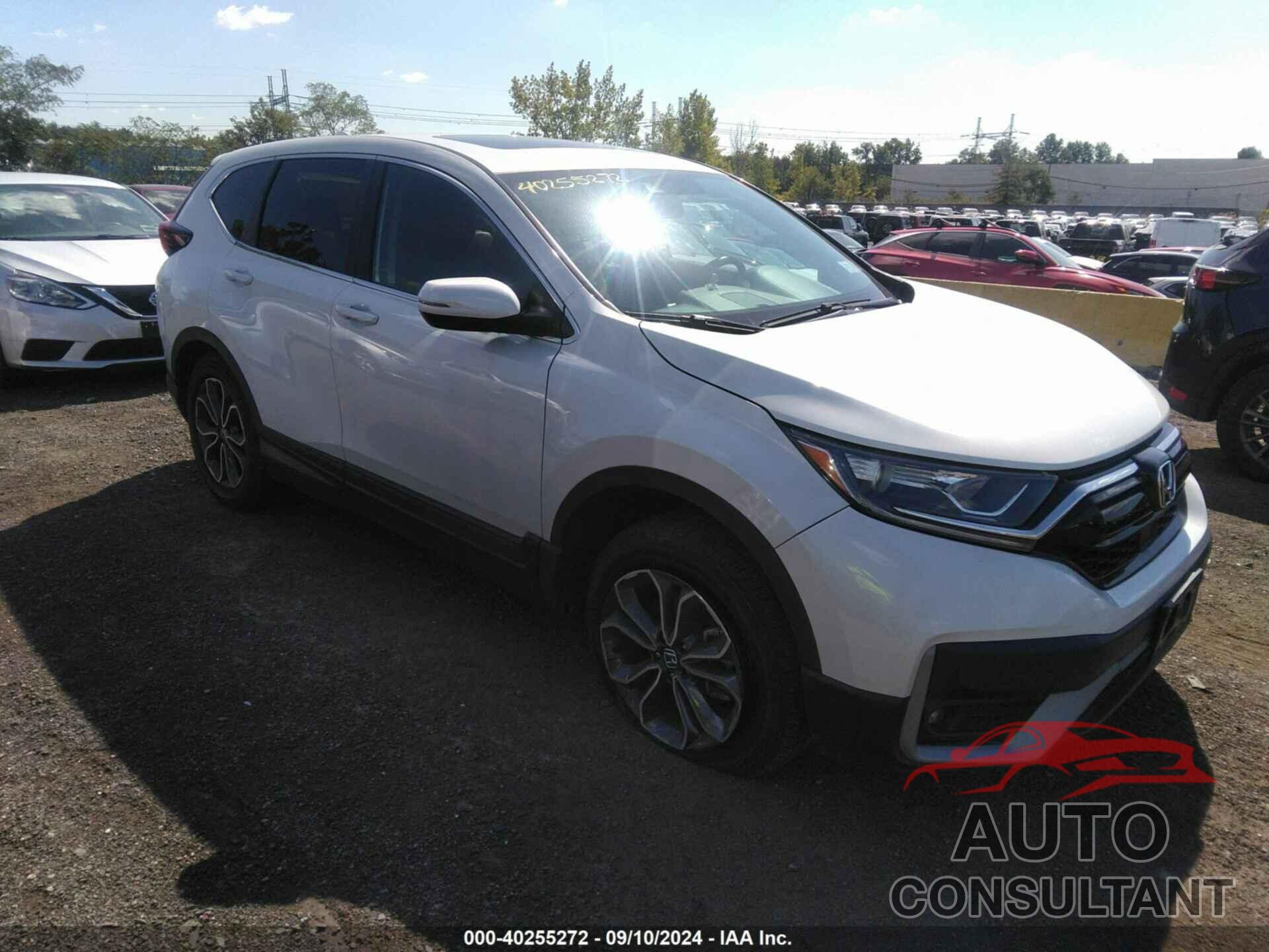 HONDA CR-V 2020 - 2HKRW2H87LH635431