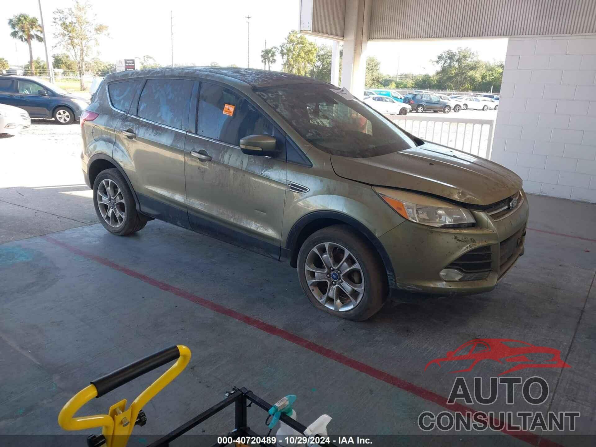 FORD ESCAPE 2013 - 1FMCU0HX2DUB10271