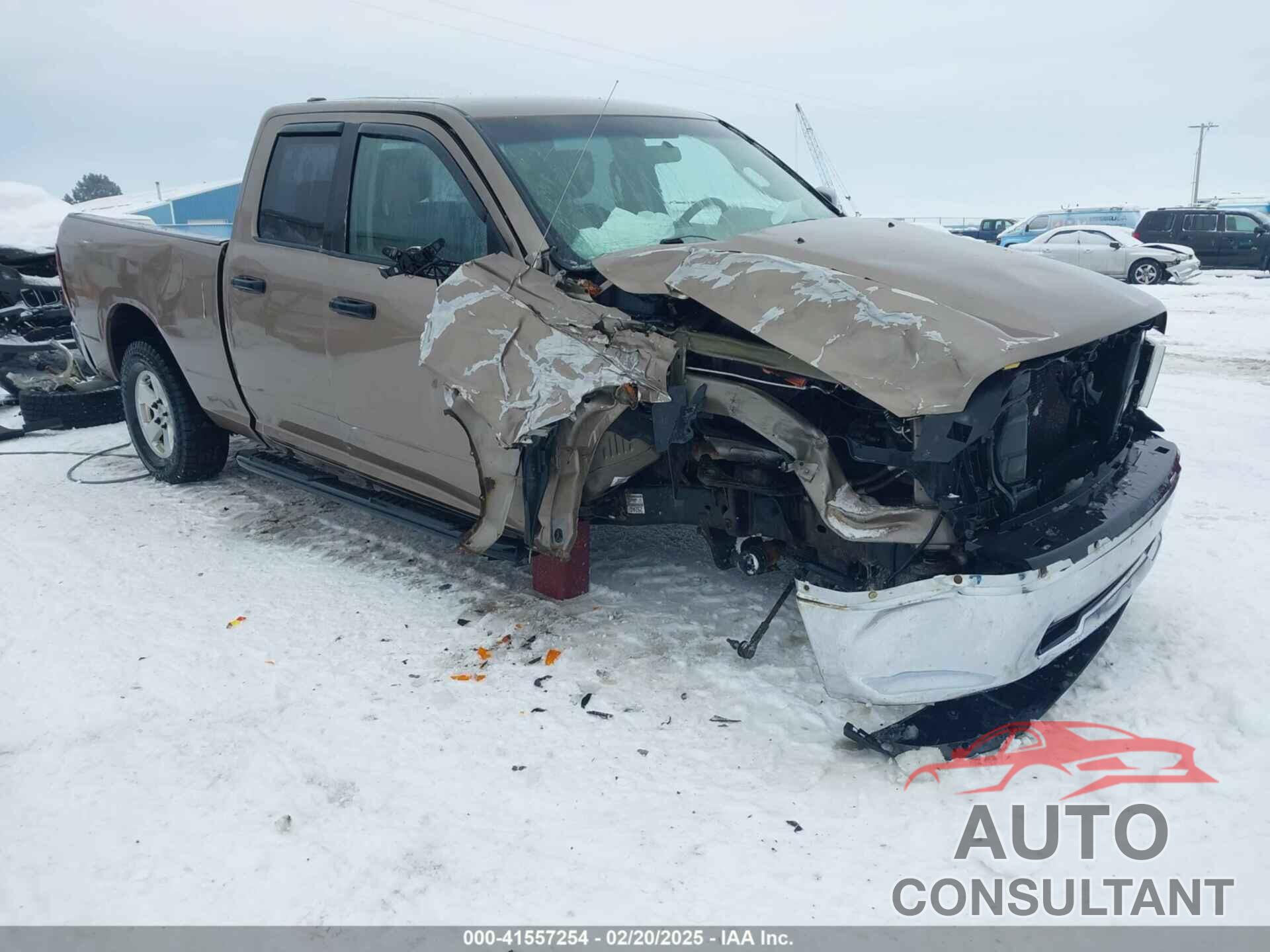 DODGE RAM 1500 2009 - 1D3HV18T59S764119