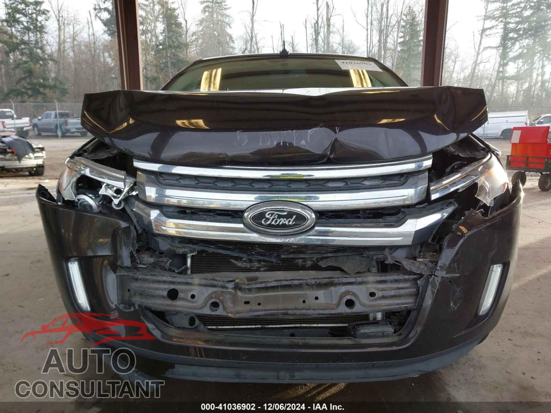 FORD EDGE 2013 - 2FMDK4KC9DBA95670