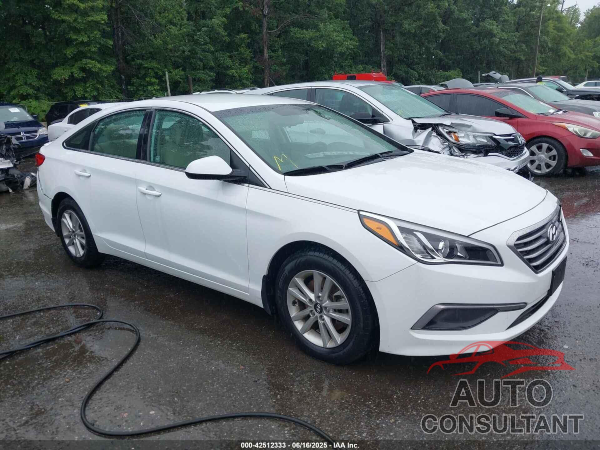 HYUNDAI SONATA 2017 - 5NPE24AF6HH512497