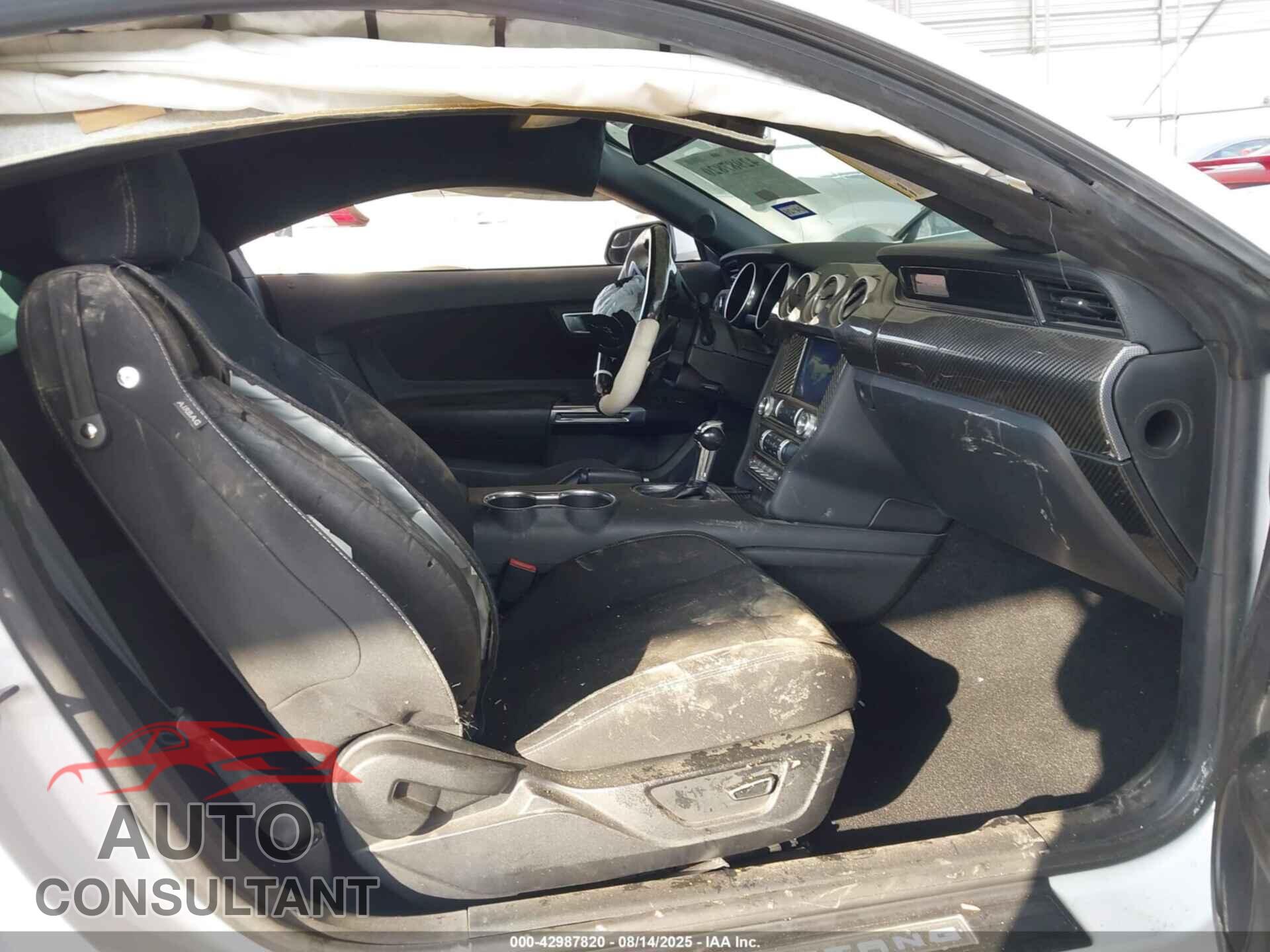 FORD MUSTANG 2019 - 1FA6P8CF9K5152908