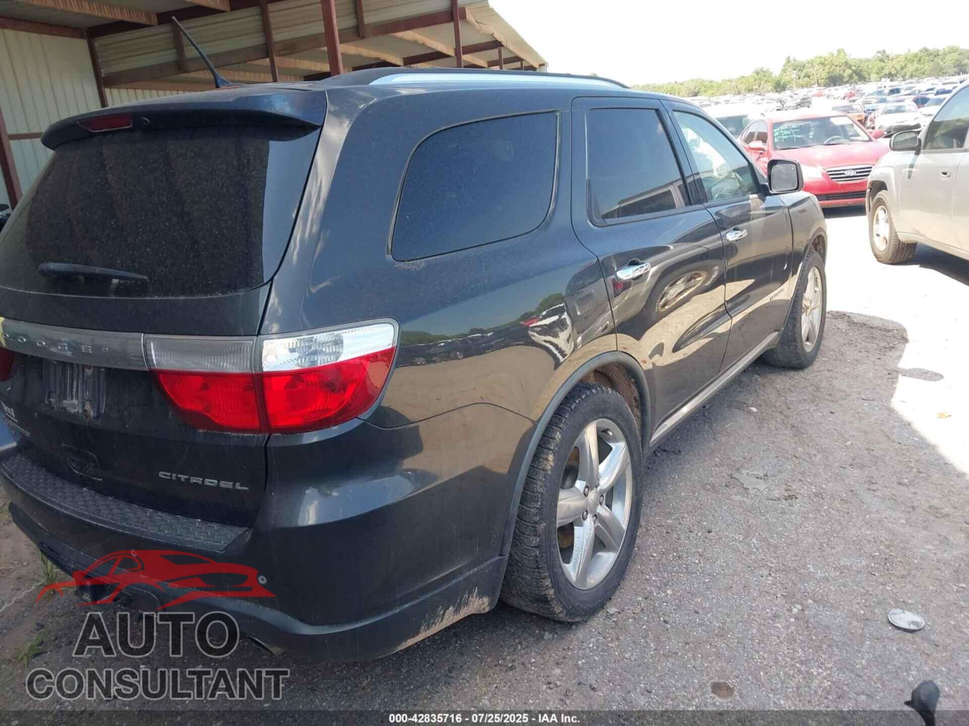 DODGE DURANGO 2011 - 1D4SE5GT1BC595016