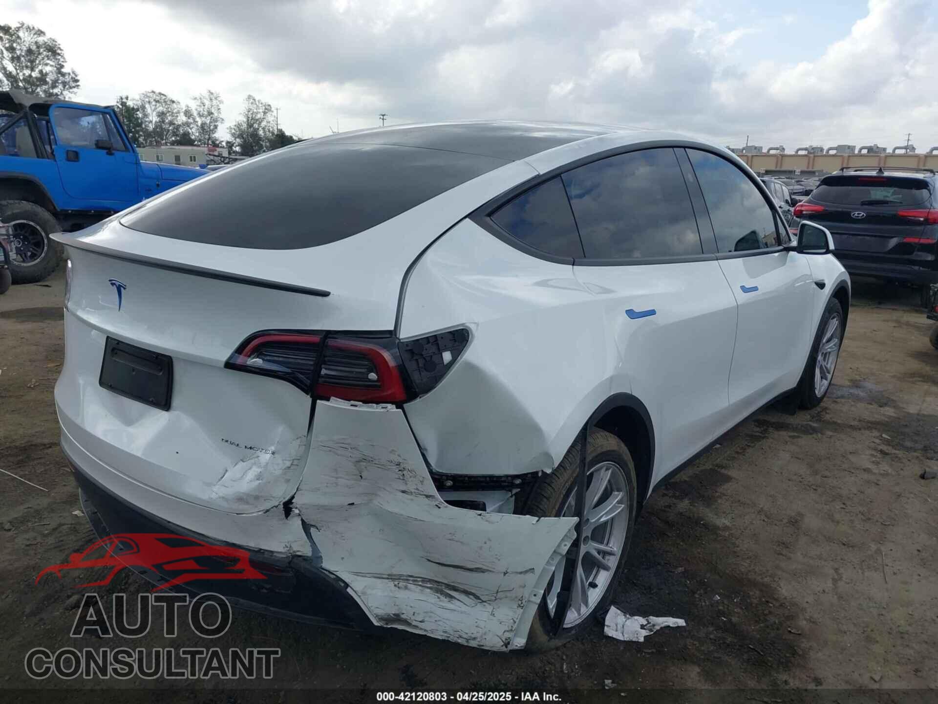 TESLA MODEL Y 2024 - 7SAYGDEE5RF036018