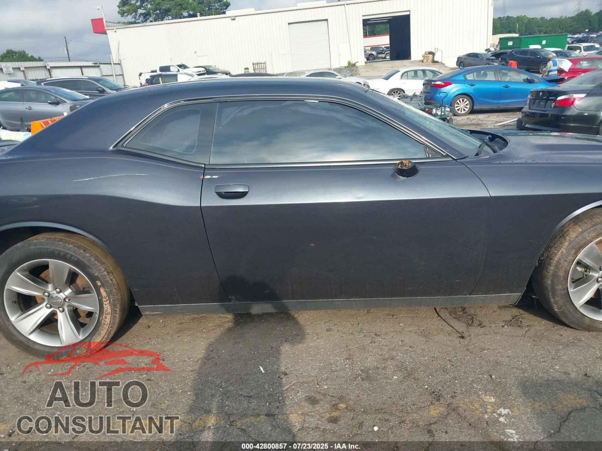 DODGE CHALLENGER 2019 - 2C3CDZAG9KH531752