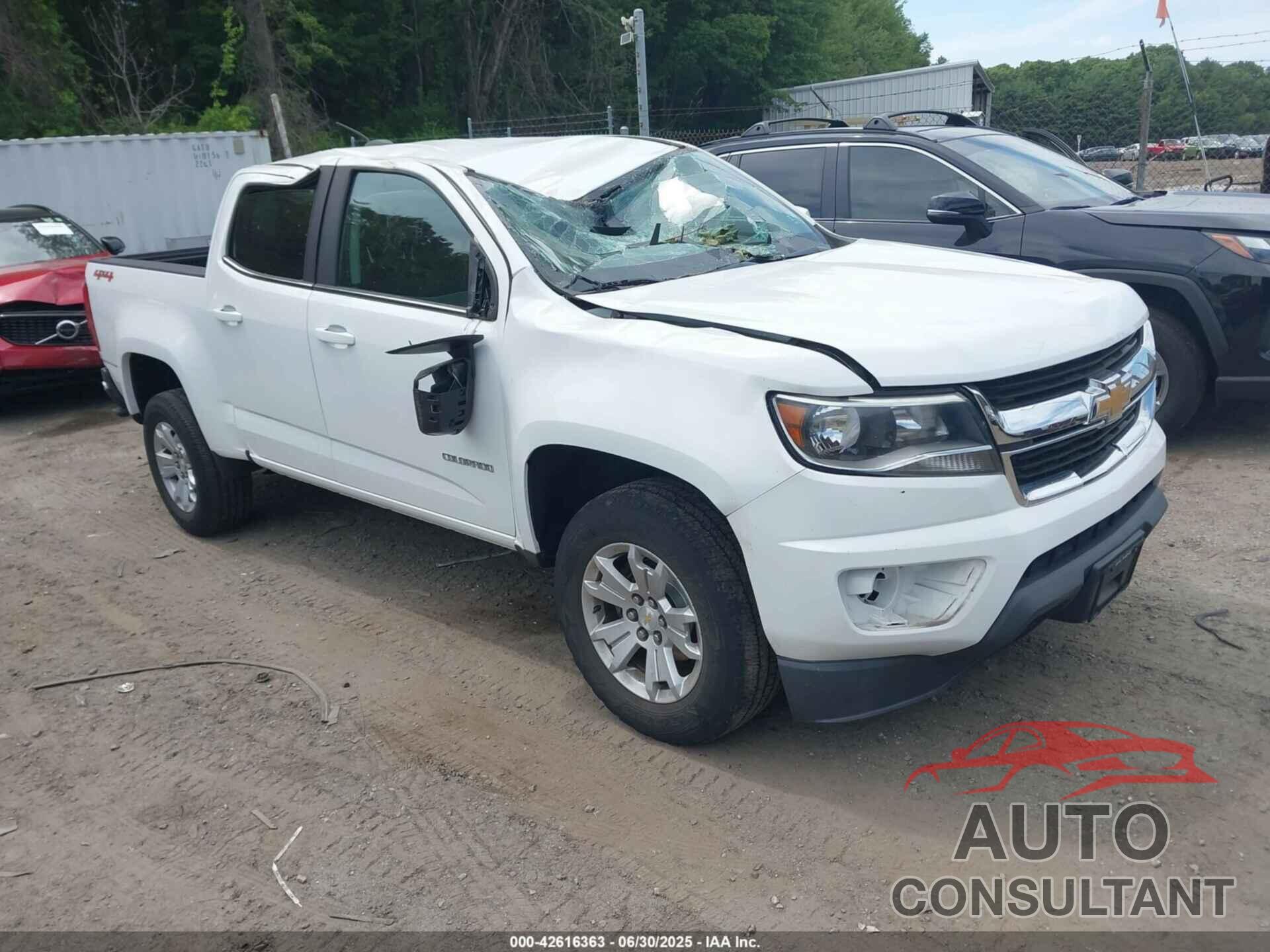 CHEVROLET COLORADO 2019 - 1GCGTCEN8K1120427