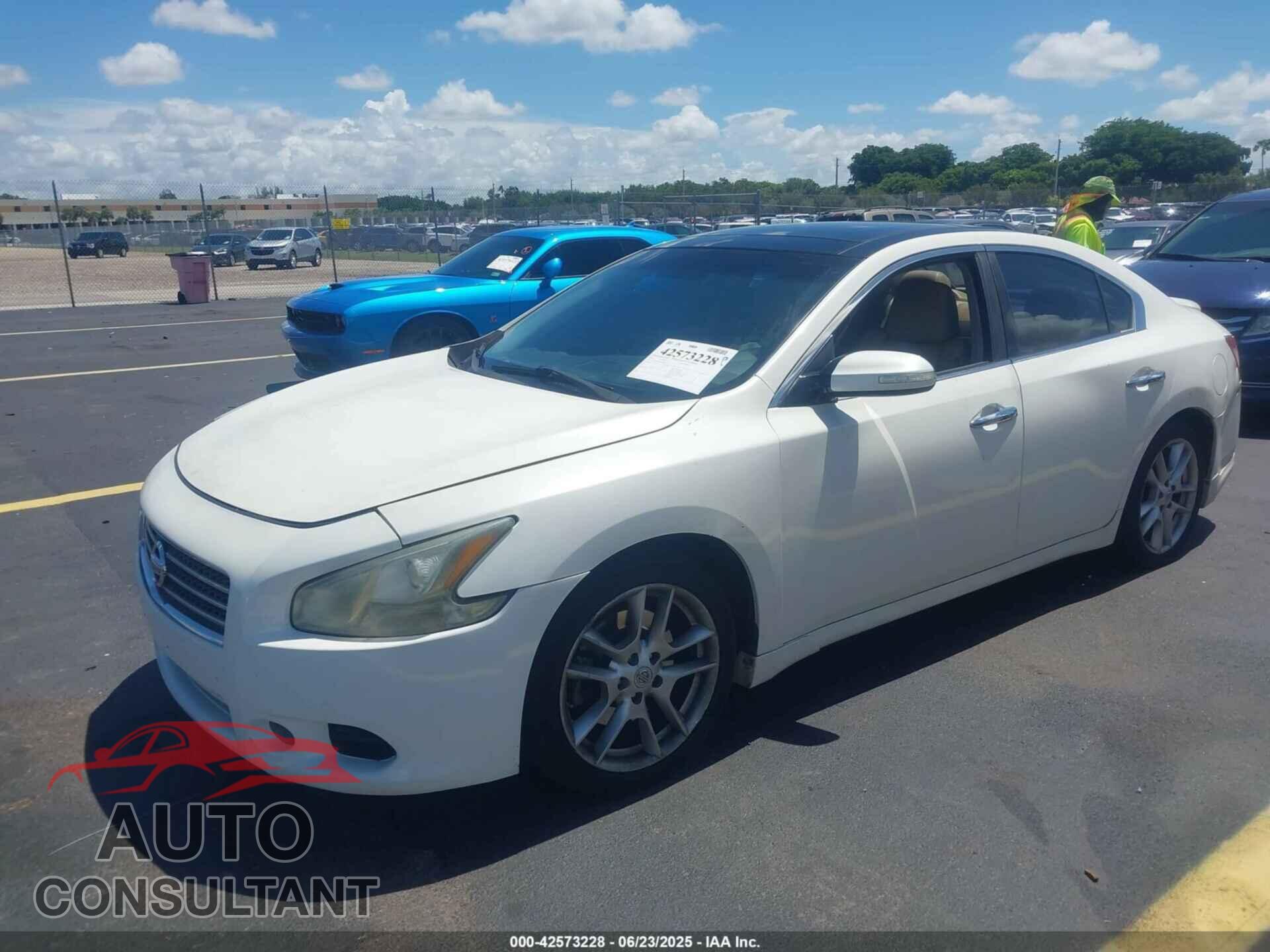 NISSAN MAXIMA 2011 - 1N4AA5AP8BC862013