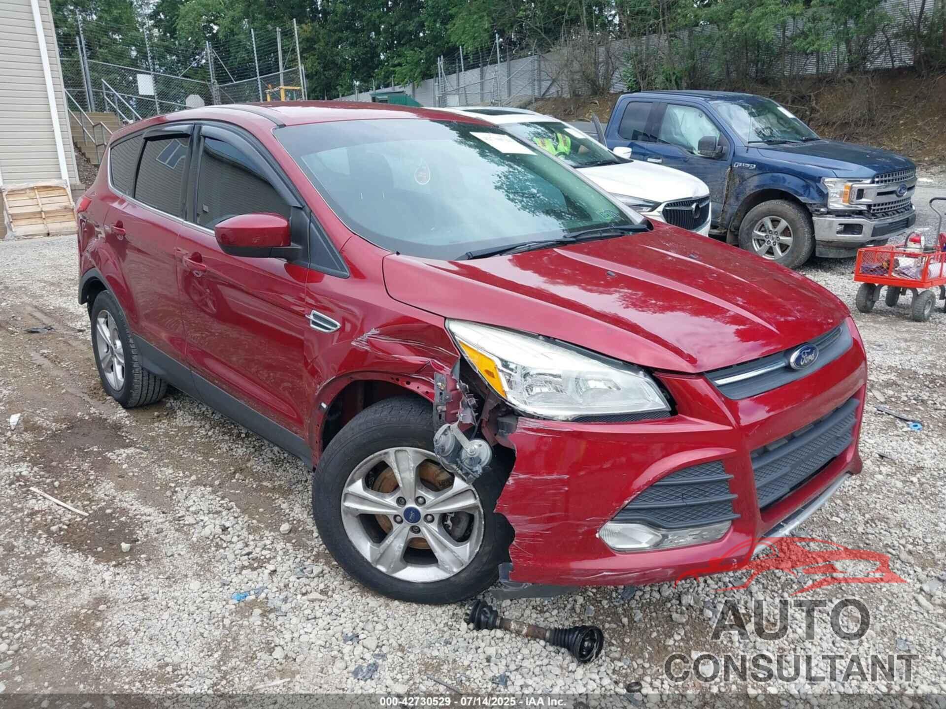 FORD ESCAPE 2014 - 1FMCU9GX0EUB75482