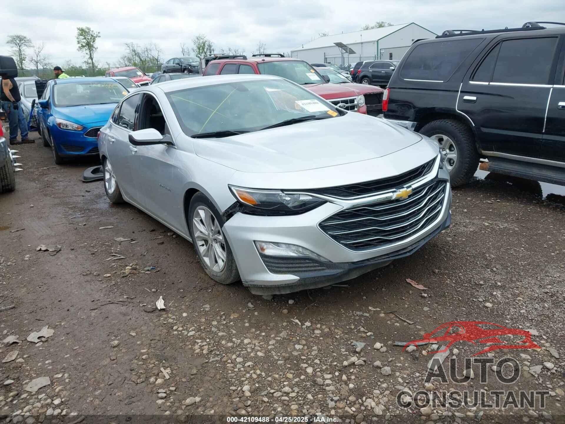 CHEVROLET MALIBU 2019 - 1G1ZD5ST8KF204974