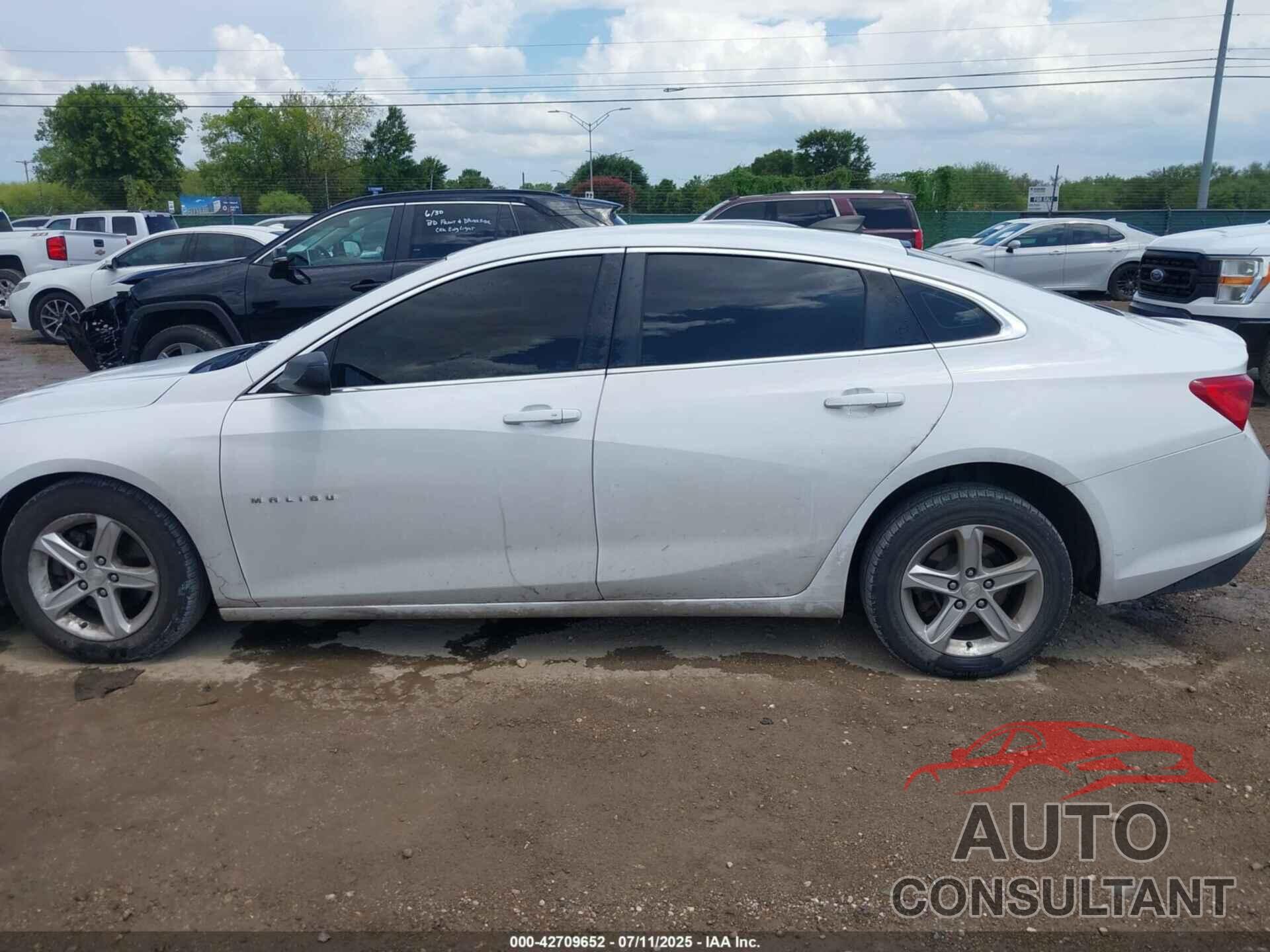 CHEVROLET MALIBU 2019 - 1G1ZB5ST2KF173727