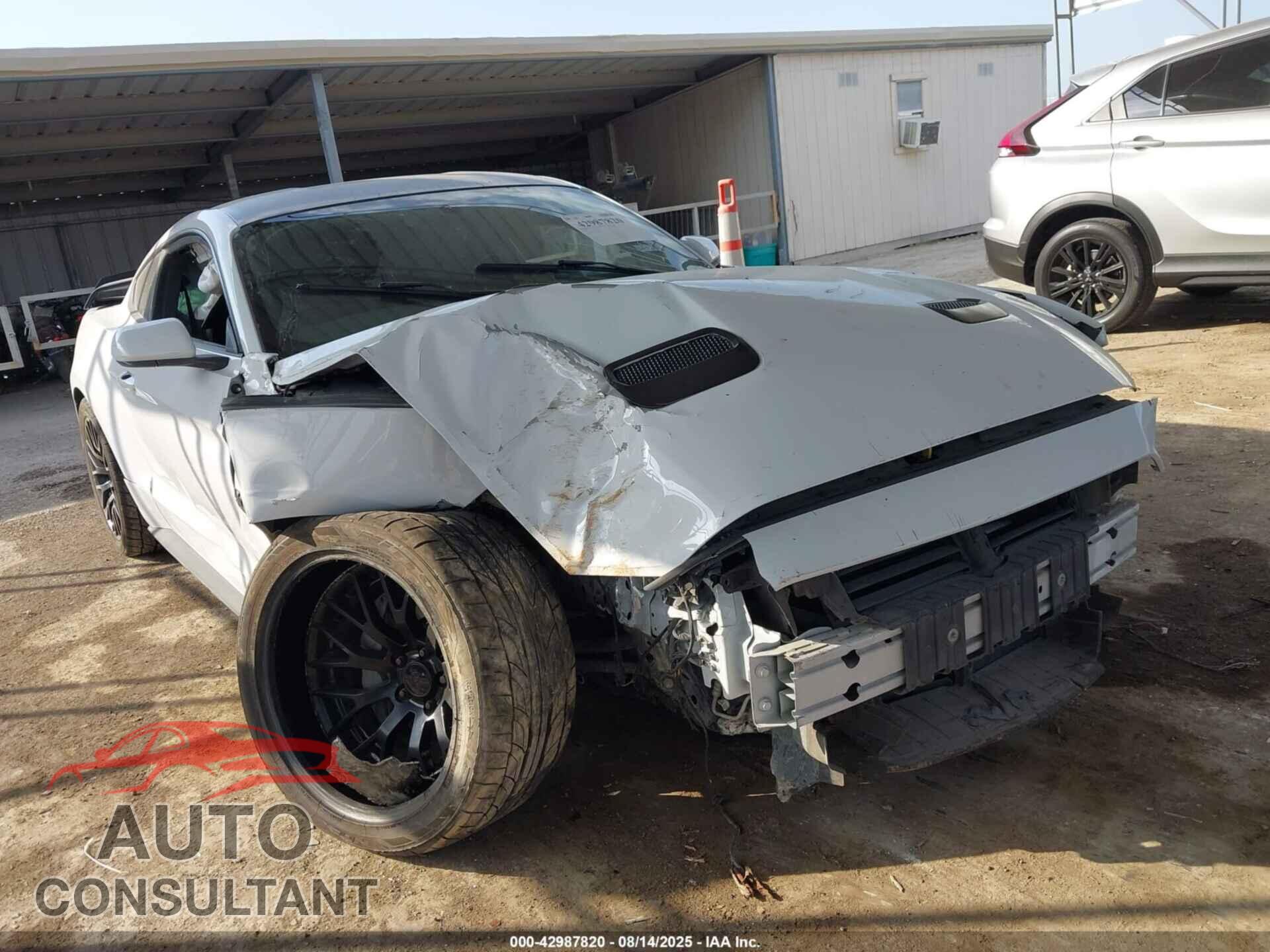 FORD MUSTANG 2019 - 1FA6P8CF9K5152908