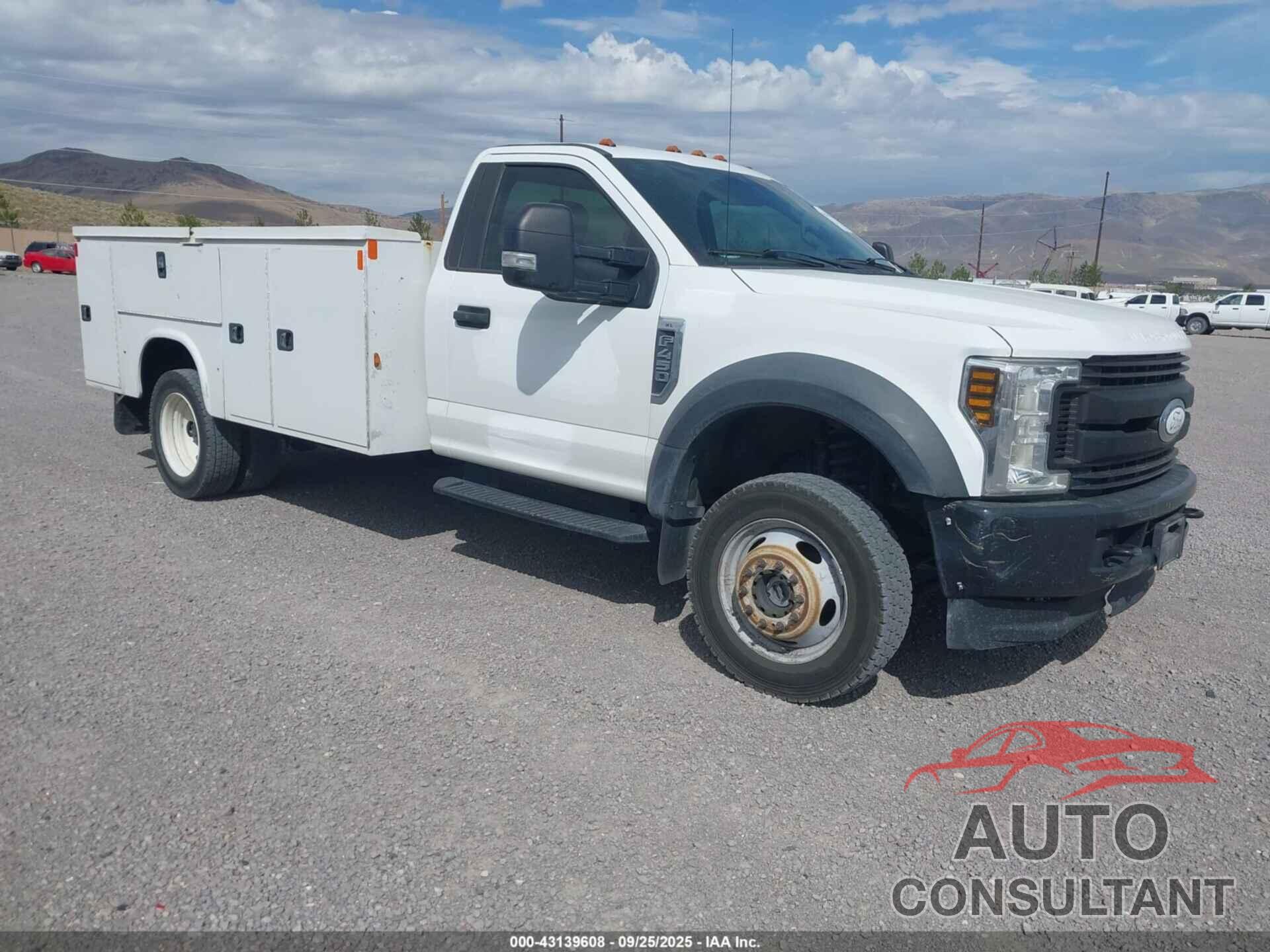 FORD F-450 CHASSIS 2019 - 1FDUF4HY2KEG11800